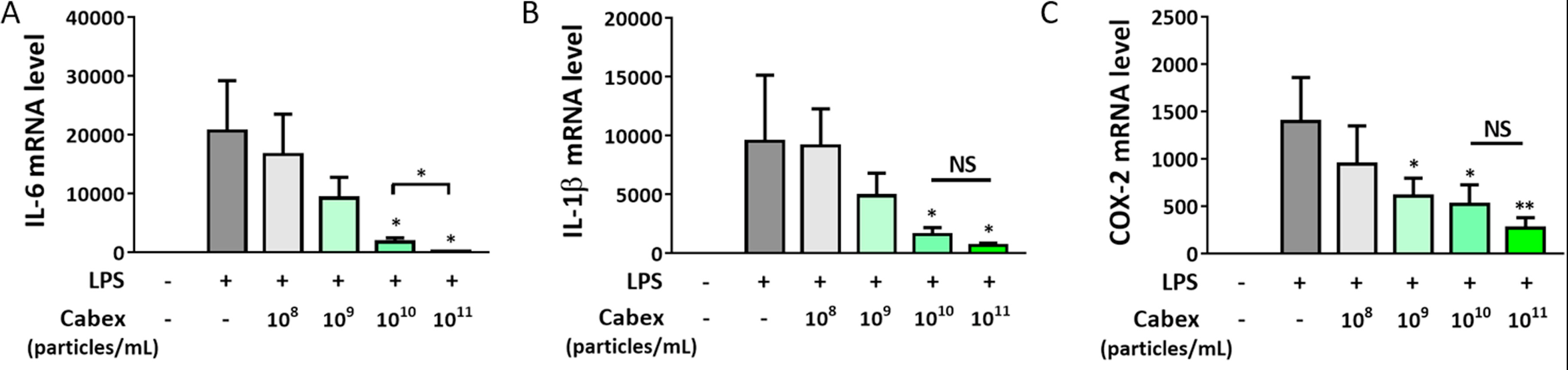 Anti-inflammatory effects of cabbage exosomes in LPS-stimulated RAW264.7 cells.